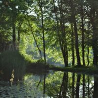 la beauté paisible de la nature se reflète dans mon âme et répand un baume sur ma vie