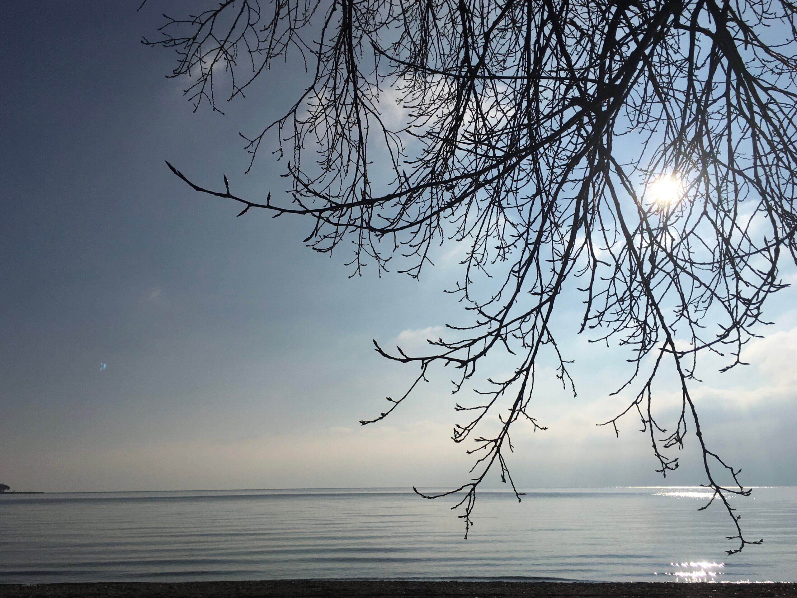 le regard se perd dans l'horizon profond comme la profondeur de nos âmes